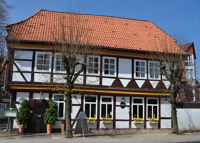 Ferienwohnungen Brauner Hirsch