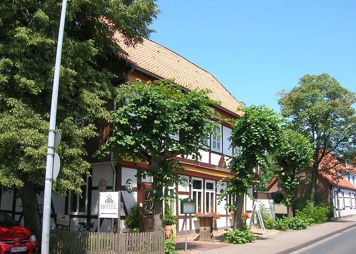 Ferienwohnungen Brauner Hirsch